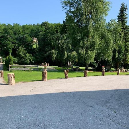 Landgasthof Steinmuehl Hofbauer Fruehstueckspension Und Campingplatz Waidhofen an der Ybbs Ngoại thất bức ảnh